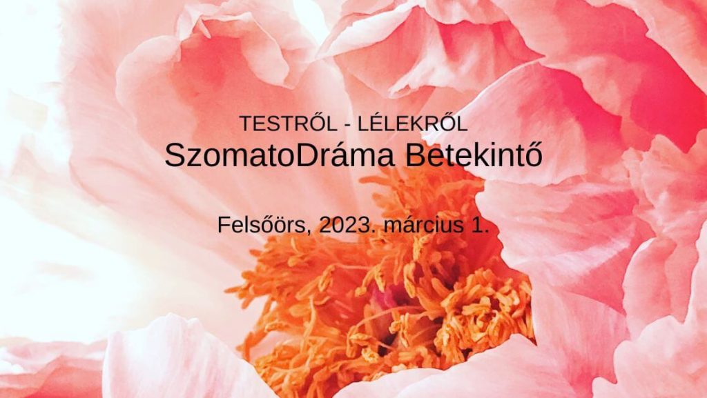 SzomatoDráma Betekintő est, Felsőörs. 2023. március 1. Nyíló rózsa a képen.
Önismereti csoportos program.